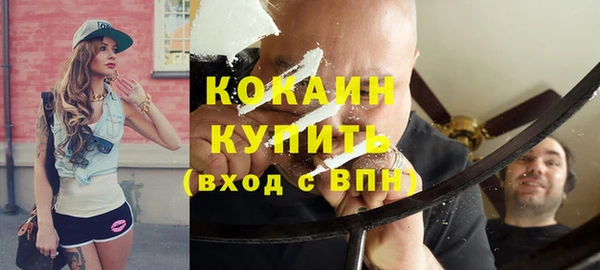тгк Алексин