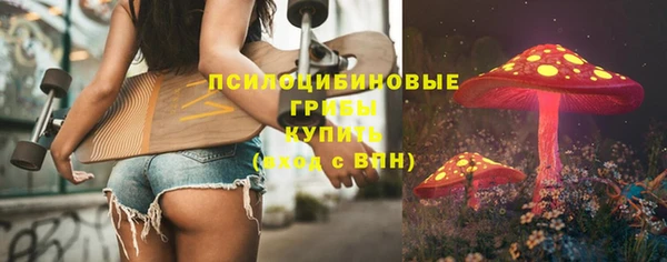 тгк Алексин