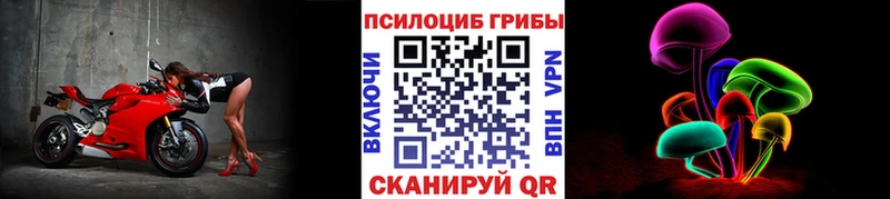 магазин  наркотиков  Михайловск  кракен рабочий сайт  Псилоцибиновые грибы мицелий 